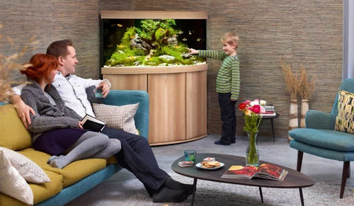 Juwel Trigon 350 LED Aquarium And Cabinet Light Wood 6 Juwel Trigon 350 LED Aquarium And Cabinet Light Wood - Image 4