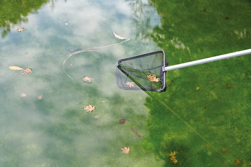 Oase Algae Net Large 5 Oase Algae Net Large - Image 3