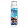Waterlife 1000ml Bacterlife P Ammonia And Sludge Control -Fish Shop Bacterlife P 86199.1636622888