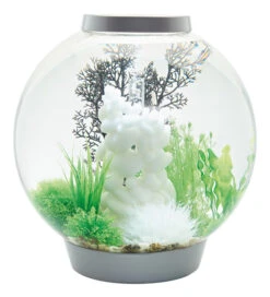 BiOrb CLASSIC 60 Silver - MCR LED