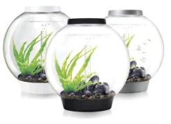 BiOrb CLASSIC 60 White - MCR LED -Fish Shop Biorb Classic 60 40408.1539700563
