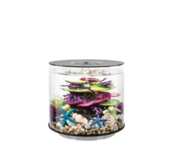 BiOrb Tube 15 Aquarium With Multi-Coloured Remote-Controlled LED Light - Black -Fish Shop Biorb Tube 84116.1603530196