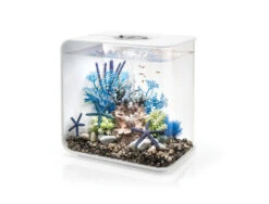 BiOrb FLOW 30 White - MCR LED -Fish Shop Flow 30 97936.1603466791