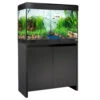 Fluval Roma 125 Black Aquarium & Cabinet 2 Fluval Roma 125 Black Aquarium & Cabinet -Fish Shop Fluval Roma 125 black 13430.1695138644