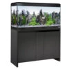 Fluval Roma 200 Black Aquarium & Cabinet -Fish Shop Fluval Roma 200 black 86971.1695222620