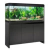 Fluval Roma 240 Black Aquarium & Cabinet -Fish Shop Fluval Roma 240 black 53593.1695288692