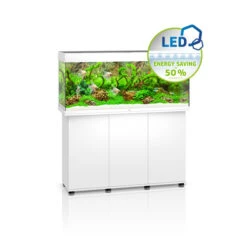 Juwel Rio 240 LED Aquarium And Cabinet White 11 Juwel Rio 240 LED Aquarium And Cabinet White -Fish Shop Juwel rio 240 tank and stand white 20627.1572004633