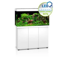 Juwel Rio 350 LED Aquarium And Cabinet White -Fish Shop Juwel rio 350 tank and stand white 23556.1572007479