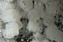 Evolution Aqua K1 Micro Media 25 Litres -Fish Shop K1 Micro Media 86147.1537197488.1280.1280 85388.1537198772