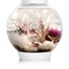 BiOrb CLASSIC 15 White - MCR LED -Fish Shop MCR White 70028.1606049543