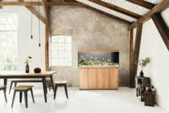 Juwel Rio 450 LED Aquarium And Cabinet Light Wood -Fish Shop Rio 450 Light Wood in situ 11147.1573042314