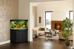 Juwel Trigon 190 LED Aquarium And Cabinet Black 8 Juwel Trigon 190 LED Aquarium And Cabinet Black -Fish Shop Trigon 190 black in situ 13628.1572104347
