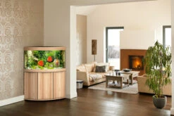 Juwel Trigon 190 LED Aquarium And Cabinet Light Wood -Fish Shop Trigon 190 light wood in situ 33323.1572100557
