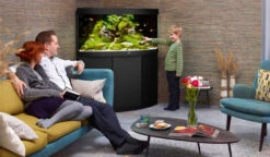 Juwel Trigon 350 LED Aquarium And Cabinet Black -Fish Shop Trigon 350 black in situ 69632.1572103540