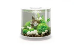 BiOrb Tube 15 Aquarium With Multi-Coloured Remote-Controlled LED Light - White -Fish Shop Tube 15 white 98709.1603530254