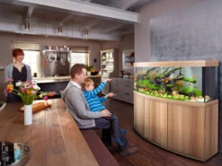 Juwel Vision 450 LED Aquarium And Cabinet Light Wood 7 Juwel Vision 450 LED Aquarium And Cabinet Light Wood -Fish Shop Vision 450 light wood in situ 28533.1572082529