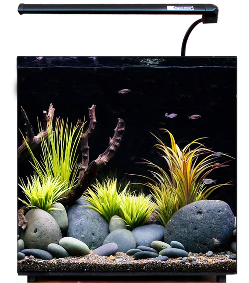 Aqua One Aqua Nano 30 Glass Aquarium 3 Aqua One Aqua Nano 30 Glass Aquarium