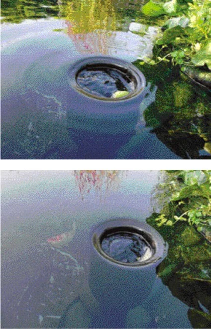 Oase AquaSkim 20 7 Oase AquaSkim 20 - Image 5