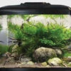Aqua One AquaVue 480 Aquarium -Fish Shop aquavue 480 aqua one 75085.1665577846