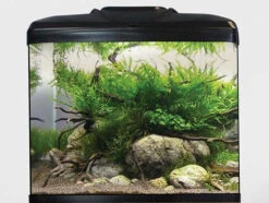 Aqua One AquaVue 480 Aquarium