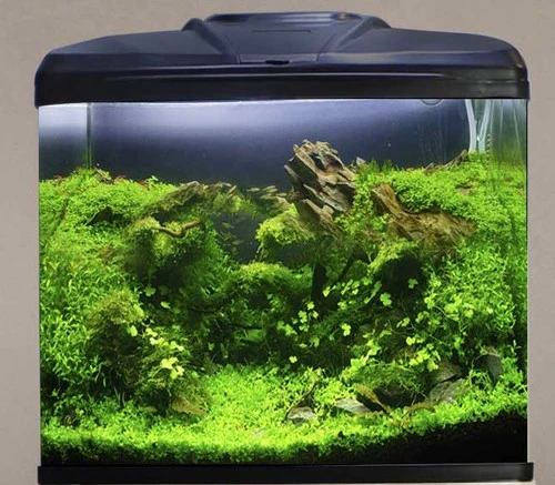 Aqua One AquaVue 580 Aquarium