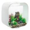 BiOrb LIFE 30 White With MCR LED Lighting -Fish Shop biorb life 30 90217.1602410559