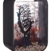 BiOrb LIFE 45 Black - MCR LED 2 BiOrb LIFE 45 Black - MCR LED -Fish Shop biorb life 45 92728.1602412526