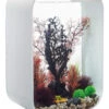 BiOrb LIFE 60 White - MCR LED -Fish Shop biorb life 60 91903.1602413409