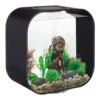 BiOrb LIFE 30 Black With MCR LED Lighting -Fish Shop black 15 life biorb 94541.1602409978