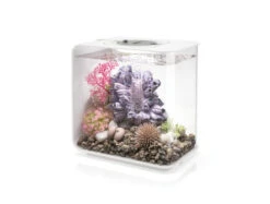 BiOrb FLOW 15 White - MCR LED -Fish Shop flow 15 white 20199.1603455834