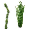 Hugo Kamishi XL Plant Green 95 Cm -Fish Shop hugo kamishi XL Large Plant Green 4 95cm 22628.1607006512