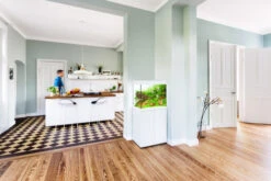 Juwel Lido 120 LED Aquarium And Cabinet White -Fish Shop lido 120 white in situ 2 53208.1572001176