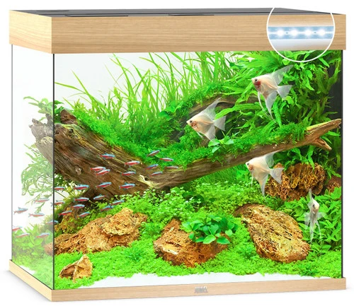 Juwel Lido 200 LED Aquarium And Cabinet Light Wood 7 Juwel Lido 200 LED Aquarium And Cabinet Light Wood - Image 5