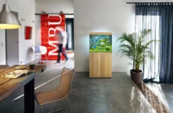 Juwel Lido 200 LED Aquarium And Cabinet Light Wood 11 Juwel Lido 200 LED Aquarium And Cabinet Light Wood -Fish Shop lido 200 light wood in situ 33275.1574427100