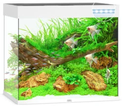 Juwel Lido 200 LED Aquarium And Cabinet White -Fish Shop lido 200 white LED 15503.1572004424