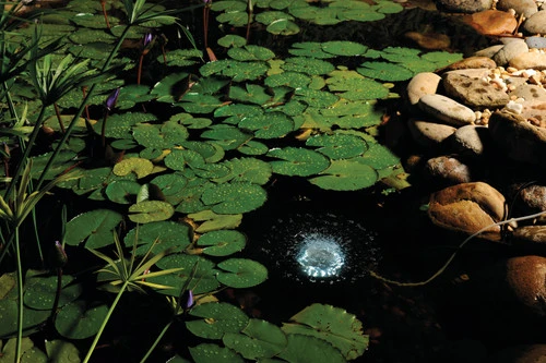 Pontec Oase Pondtec PondoAir Set 1200 Air Pump & Light 7 Pontec Oase Pondtec PondoAir Set 1200 Air Pump & Light - Image 5