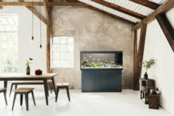 Juwel Rio 450 LED Aquarium And Cabinet Black -Fish Shop rio 450 black in situ 40413.1573040150