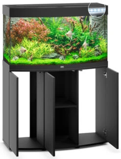 Juwel Vision 180 LED Aquarium And Cabinet Black 9 Juwel Vision 180 LED Aquarium And Cabinet Black -Fish Shop vision 180 black open 61992.1572009755
