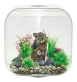 BiOrb LIFE 30 White With MCR LED Lighting -Fish Shop white 30 life 66225.1602410481